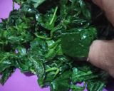 Foto langkah ke 2 dari resep Lodeh mbayung (daun kacang).