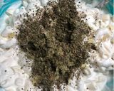 Kukoricás tésztasaláta recept fázis 3 fotója