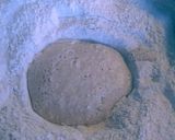 Foto del paso 1 de la receta: Pan de molde integral