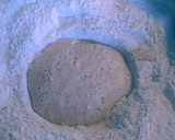Foto del paso 1 de la receta: Pan de molde integral