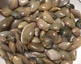 Foto langkah ke 1 dari resep 6. Tumis kerang mudah dan enak.