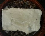 Foto del paso 5 de la receta: Lasaña improvisada