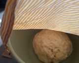 Foto langkah ke 6 dari resep Bakpao (no mixer).