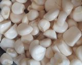 Foto del paso 7 de la receta: Pepian de choclo con chancho🇵🇪