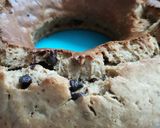 Foto del paso 7 de la receta: Banana bread o pastel de plátano