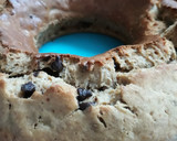 Foto del paso 7 de la receta: Banana bread o pastel de plátano