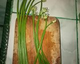 Foto langkah ke 2 dari resep Lodeh pepaya muda glalo.