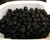 Foto del paso 9 de la receta: Tarta en frío de moras silvestres con lácteos sin lactosa