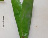 A picture of step 4 of Chocolate paan.