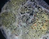A picture of step 1 of Garlic Mussels.