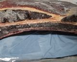 Foto del paso 2 de la receta: Costillar de rubia gallega a baja temperatura