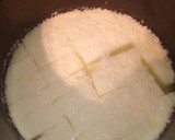 Foto del paso 4 de la receta: Queso fresco casero