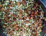 স্প্ৰাউট স্টি ফ্রাই  (Sprouts stir fry recipe in Bengali) রেসিপির ধাপ 2 ছবি