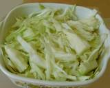 Stir fried Cabbage recipe step 1 photo