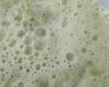 Foto del paso 8 de la receta: Agua Fresca Verde
