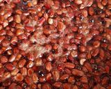 Foto del paso 1 de la receta: Maní Confitado con Azúcar Rubia