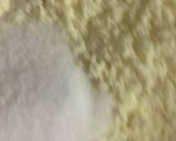 A picture of step 4 of Pizza Dough (Foolproof detail recipe).