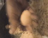 ரவை லட்டுக்கள் ரெசிபி ஸ்டேப் 5 புகைப்படம்