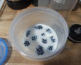Foto del paso 5 de la receta 317. Batido de Moras