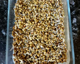 Foto del paso 4 de la receta: Jugo de lentejas germinadas