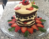 Foto del paso 18 de la receta: Pastel de chocolate con crema y frutillas