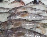 Foto del paso 1 de la receta: Sudado de cabrilla (pescado) peruano