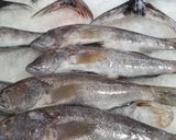 Foto del paso 1 de la receta: Sudado de cabrilla (pescado)