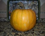 Foto del paso 2 de la receta Flan de calabaza