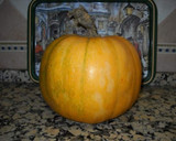 Foto del paso 2 de la receta: Flan de calabaza