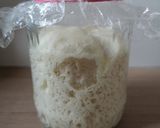 Lievito Madre kovász recept fázis 12 fotója
