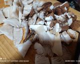 Foto del paso 3 de la receta: Guiso otoñal (patatas+setas)🍂🍁🍄🍄