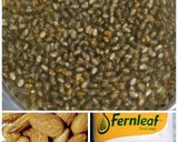   பழ ஓட்ஸ் கஞ்சி (fruity oats poridge) (Pazha oats kanji recipe in tamil) ரெசிபி ஸ்டேப் 1 புகைப்படம்