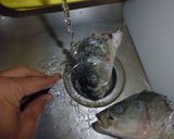 Foto del paso 6 de la receta: Arajiru de Seabass (シーバスのあら汁)