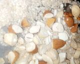 A picture of step 1 of Gur ki chikki 😋گڑ کاجو بادام تِل کی چِکی❤.