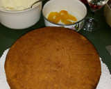 Foto del paso 9 de la receta: Torta de cumpleaños con frutas de estación