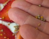 Foto del paso 4 de la receta: Copa de frutillas diferente 🍓fresas, chía, yogur de búfala, AOVE, sal en escamas y polen de abejas 🐝