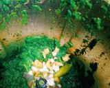 A picture of step 2 of Fenugreek puri.