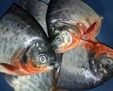 Foto langkah ke 1 dari resep Ikan bawal pedas asam manis.