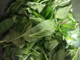 Salsa pesto