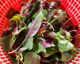 Hình bước làm 1 của món Canh rau dền đỏ nấm rơm (món chay)