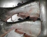 Hình bước làm 1 của món Cá tra kho