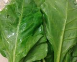 પાલક પત્તા ચાટ (Spinach Leaves Chaat Recipe In Gujarati) રેસીપી સ્ટેપ1ફોટો