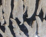 Foto del paso 3 de la receta: Merluza al horno con ensalada