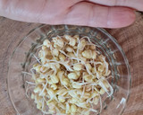 Foto del paso 7 de la receta: Brotes de mungo (mal llamados brotes de soja) 🌱 🫘