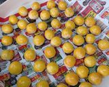 Foto langkah ke 6 dari resep Nastar Super Lumer.