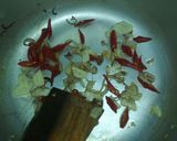 Foto langkah ke 2 dari resep Tumis Kangkung+Rebon.