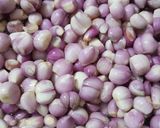 Hình bước làm 3 của món Xôi chim câu