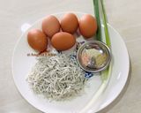 Foto langkah ke 1 dari resep Telur dadar teri nasi,pu la yi cien tan.