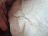 بيتزا الزعتر