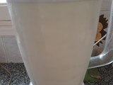 Agua saborizada de menta, limón y jengibre 🇺🇾